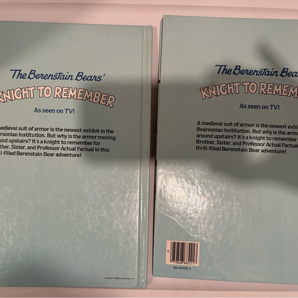 Berenstain Bears Knight to Remeber - Picture 2 of 2